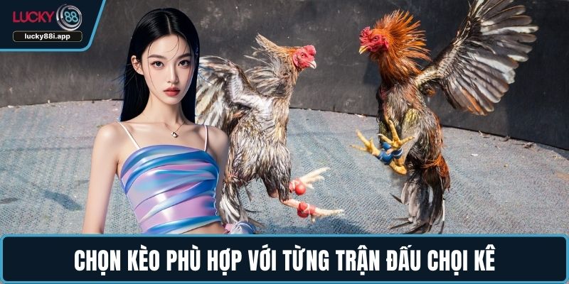 Chọn kèo phù hợp với từng trận đấu chọi kê
