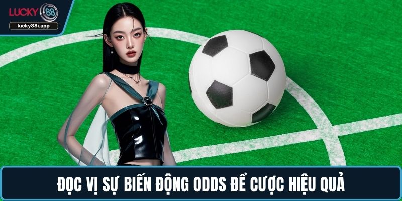 Đọc vị sự biến động ODDs để cược hiệu quả